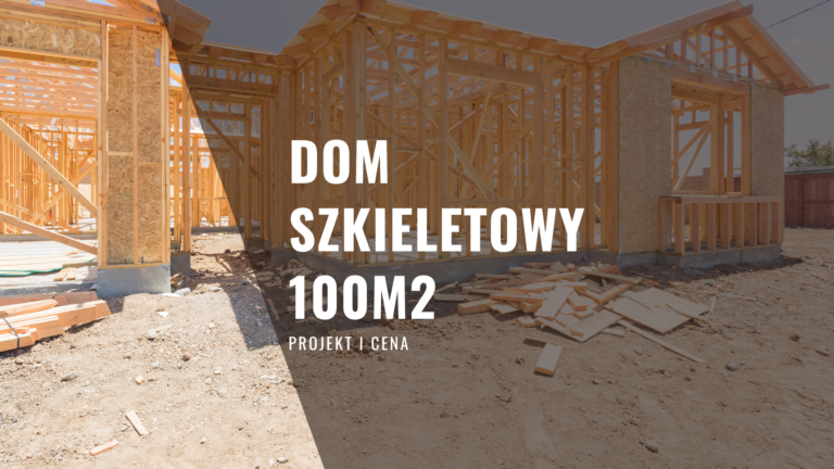 Dom szkieletowy 100m2 Projekt Całoroczny