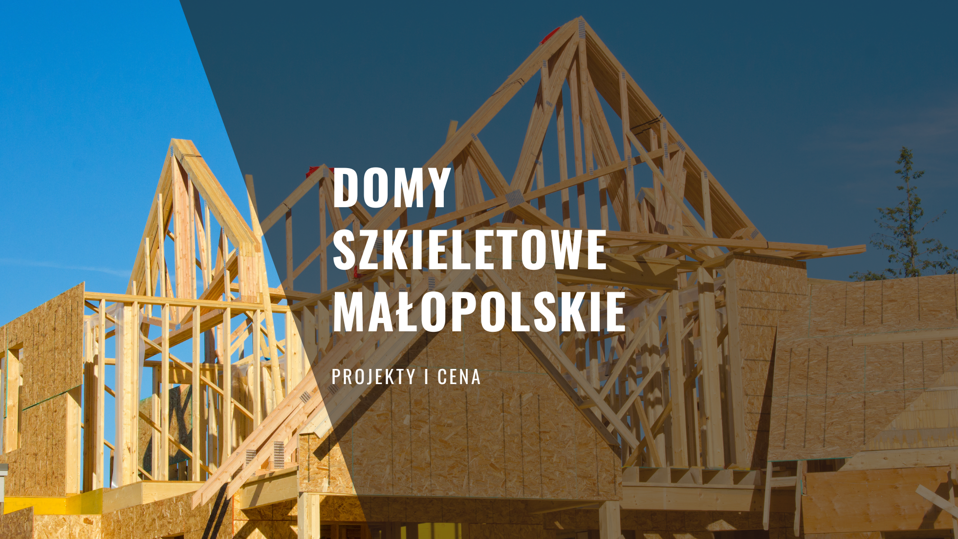 Domy szkieletowe Małopolskie